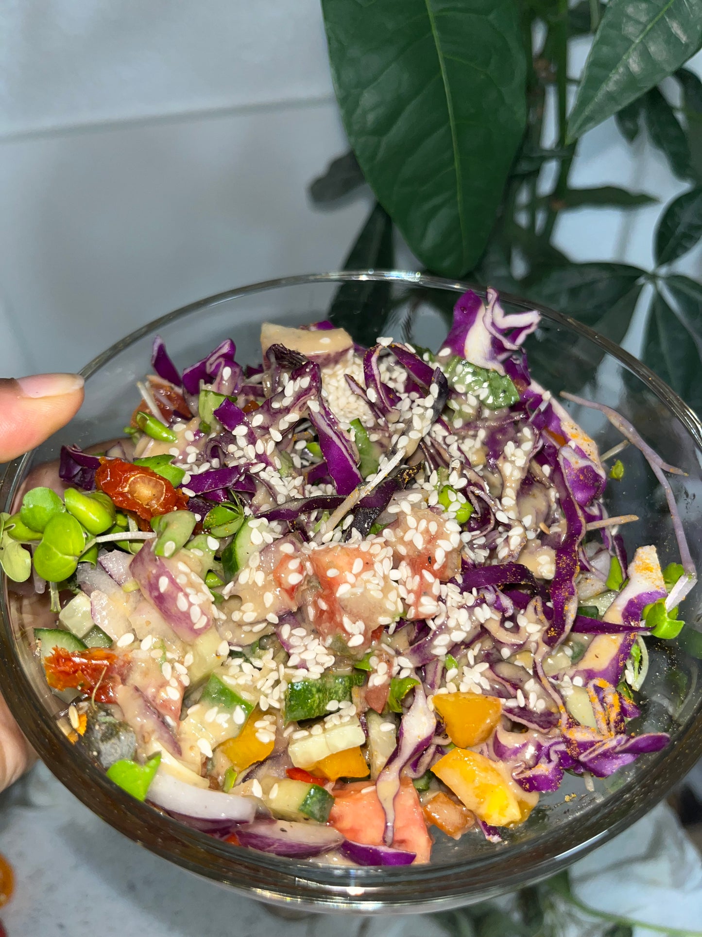 Nature’s Medicine: Holistic Guide & Cookbook