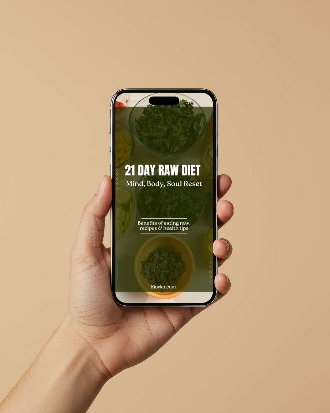 Vegan cookbook MRR- Bundle