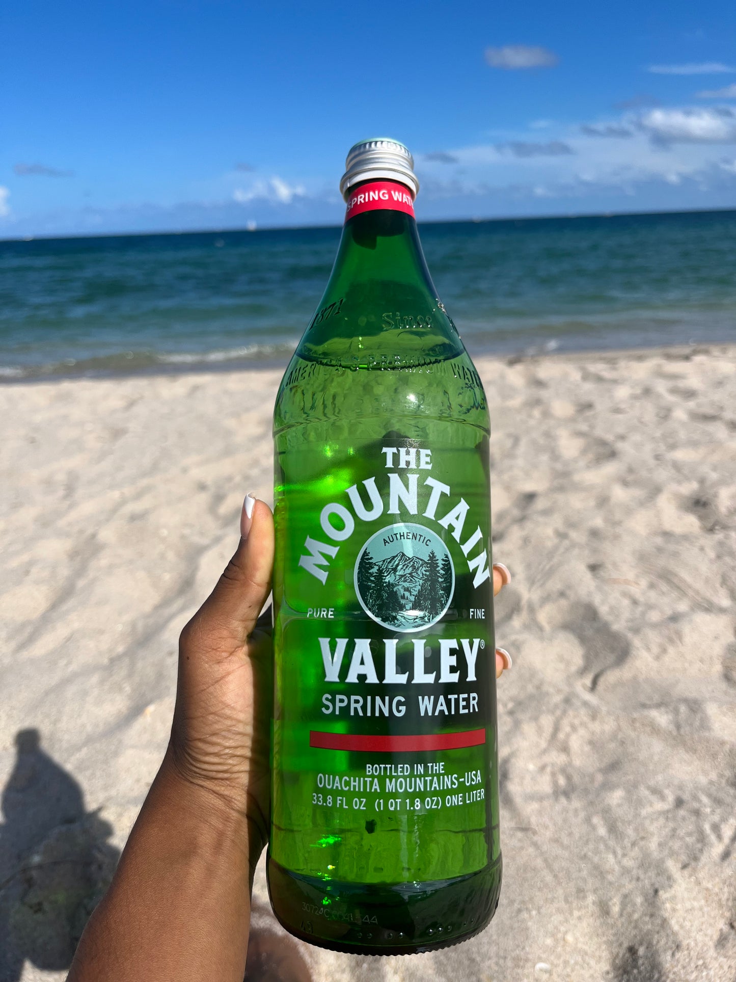 3-7 day fruit & water cleanse guide