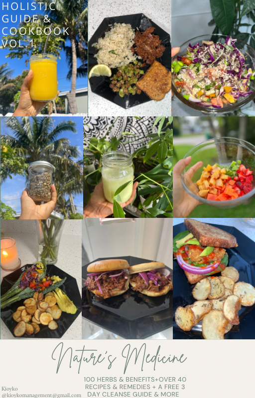 Vegan cookbook MRR- Bundle