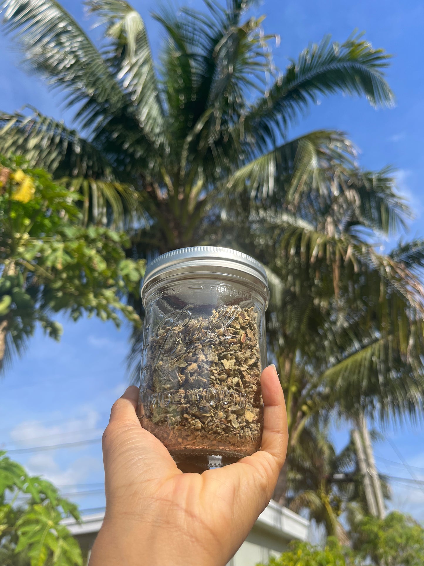 Nature’s Medicine: Holistic Guide & Cookbook